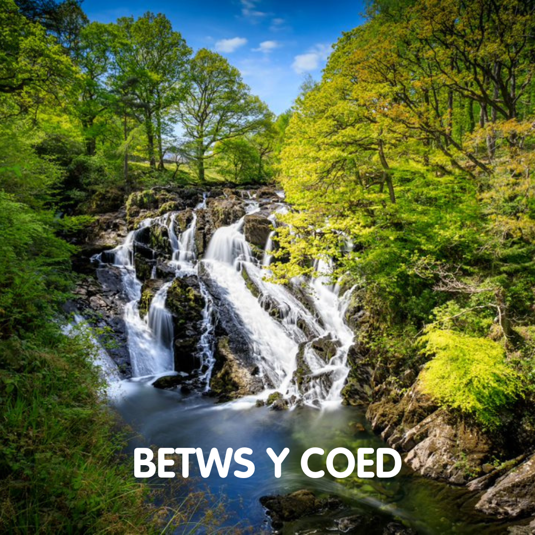 BETWS Y COED VIDEO BY EMIKO CORNEY